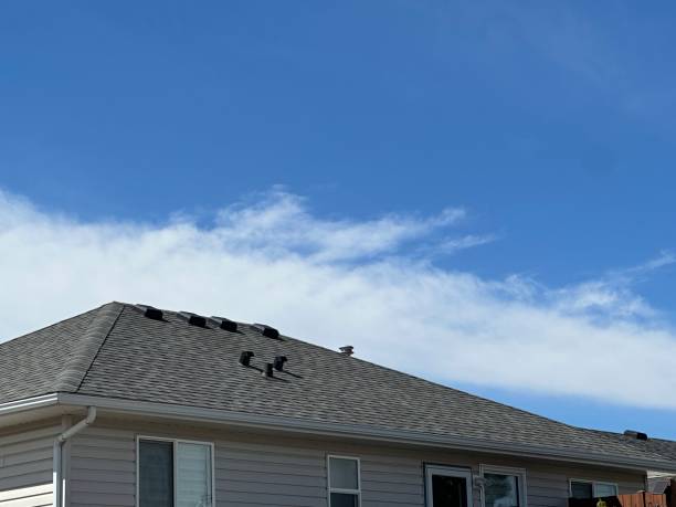 Best Gutter Installation and Repair  in Avenue B And C, AZ